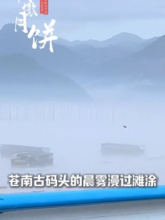 尝鲜温州桥墩月饼,饼皮酥脆,一口咬出满满惊喜 #温州月饼 #桥墩月饼 #温州大月饼 #好吃到停不下来 #月饼