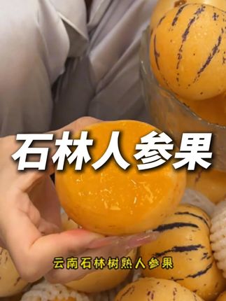 一年只吃这一季的石林人参果,清甜清甜的特别好吃! #人参果 #石林人参果 #新鲜应季水果