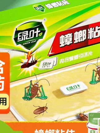 家里小强成灾?这款粘贴一贴搞定! 家里有蟑螂太闹心?试试这款好物!#蟑螂粘板 #蟑螂屋 #杀蟑螂