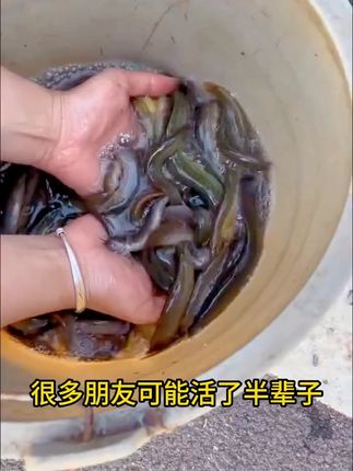 渔民自家小土货,无骨无刺去肚不苦,没有泥沙,下饭下酒炒菜炖汤煮火锅,开胃又好吃,万绿湖客家风味#泥鳅干 #优质农产品 #妈呀太香了