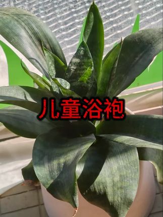 儿童连帽浴袍珊瑚绒加厚吸水长款睡袍毛巾料中大童家居服四季可穿 #儿童浴袍 #浴袍 #儿童家居服