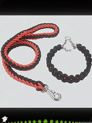 狗狗牵引绳中型大型犬金毛狗绳子拉布拉多狗链子狗脖圈狗项圈p链  #新手养宠 #趣味养宠 #萌宠日记