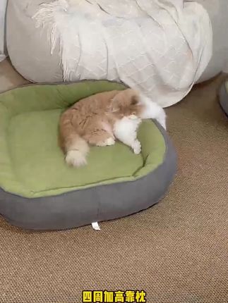 猫窝狗窝中大型犬狗垫子四季通用狗狗窝垫大型狗窝沙发可拆深睡窝猫窝狗窝中大型犬狗垫子四季通用狗狗窝垫大型狗窝沙发可拆深睡窝