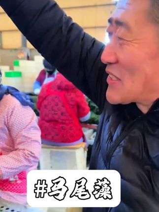 霞浦嫩鞭炮笋新鲜头茬盐渍长寿菜马尾藻海草商用火锅凉拌食材 #马尾藻 #鞭炮笋 #盐渍马尾藻 #凉拌马尾藻 #新鲜马尾藻