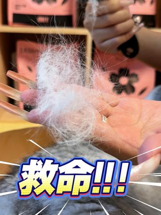 拒绝换毛季猫咪蒲公英,试试这款主食餐盒 #猫咪掉毛很烦恼#萌宠好物#猫咪罐头#主食罐头#朗仕官方旗舰店
