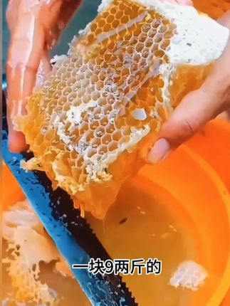 深山土蜂蜜真的太爱了#蜜蜂🐝 #大山里的味道 #土特产走出大山 #勤劳的小蜜蜂