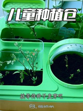 陪孩子一起种菜吧 跟孩子一起来种菜,让孩子从一粒种子开始去见证它们的成长,这样的玩具,真的很有价值。#阳台种植#diy小屋#儿童种植#儿童小盆栽#益智玩具