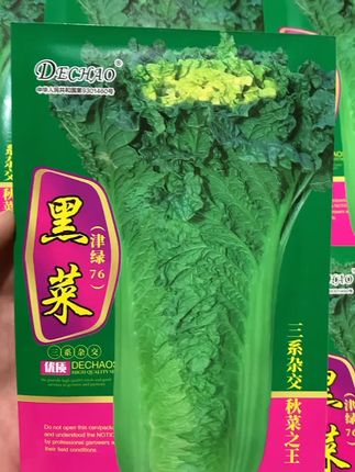 适合8月份种植的绿叶蔬菜#黑菜 可以包饺子做馅饼,炖肉腌酸菜都美味下饭#蔬菜
