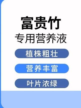 #养花小知识 富贵竹专用营养液,用完每年都能开花 #富贵竹 #富贵竹专用营养液 #富贵竹专用营养液用完每年 #养花小知识