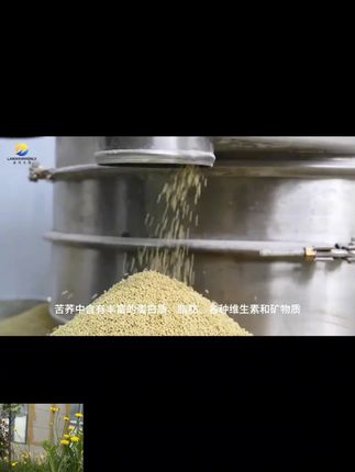 草海原农贵州威宁苦荞饭荞麦米荞疙瘩芥麦粗粮杂粮主食厂家直发#草海原农苦荞米 #贵州苦荞 #粗粮主食 #苦荞饭 #健康杂粮