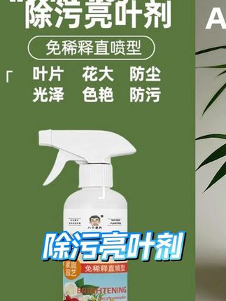 #我的花花草草 #种植小技巧 #爱生活爱养花 #养花 #养花小知识