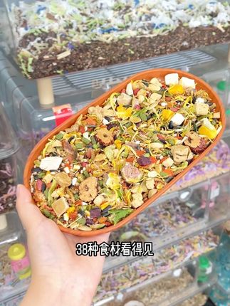 仓鼠鼠粮怎么选 #仓鼠 #金丝熊 #养鼠日常分享 #鼠鼠我呀 #萌宠出道计划