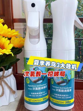一招解决养鹦鹉三大难题,这款消毒液真的有用! #鹦鹉 #好物推荐🔥 #鹦鹉消毒 #鹦鹉鹦鹉萌萌哒逗鹦鹉 #养鸟经验分享
