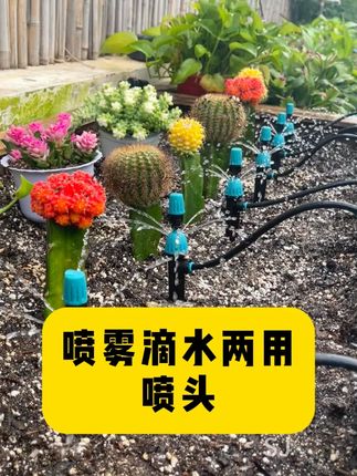 花园里装了一套这样的浇水神器,真的是太好用了,搭配的这个喷滴两用喷头适合各种植物浇水需求#自动浇水器 #滴灌