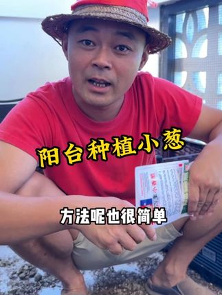 凡是喜欢种菜的兄弟姐妹们,千万不要再出去买小葱了!#种植小技巧 #三农 #小葱种植 #乡村生活