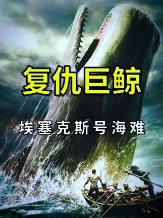 捕鲸船被巨型抹香鲸撞沉,最后的食物是人 #动物世界 #科普 #抹香鲸 #恐龙 #白鲸记