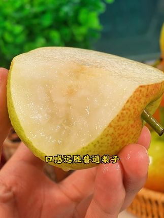 S来自#云南 的#高原蜜梨 你吃过吗?吃起来嫩甜多汁#口感非常好 想吃的朋友不要错过!#新鲜水果产地直发
