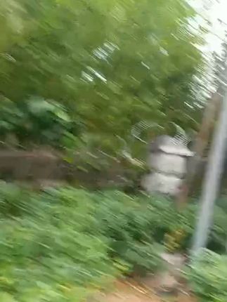 炫彩4色倒插梳前额刘海后脑勺碎发固定 气质百搭2025新款碎发梳#碎发梳#炫彩碎发梳#新款碎发梳#气质碎发梳#百搭碎发梳