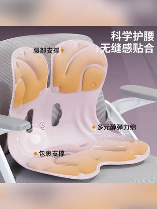 倍佳士护腰坐垫坐姿椅人体工学椅办公室学习久坐护腰背靠#坐姿椅 #坐垫 #护腰坐垫 #人体工学椅 #久坐坐姿椅