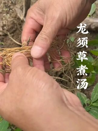#煲汤日记 #知识分享 #莆田方言