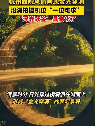 #穿搭#显瘦穿搭#小个子穿搭#夏季穿搭#裤子fzlz1