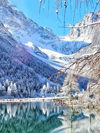 一次性床单被套四件套无菌旅游旅行酒店民宿三件套可裸睡隔脏床品#一次性床单被套 #无菌 #民宿三件套