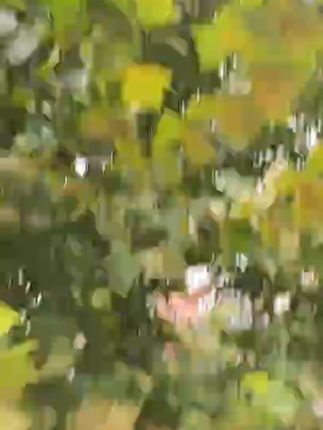 加大不锈钢锅架蒸架多功能厨房置物架防烫锅垫隔热架大小通用#蒸架 #锅架 #加大锅架 #厨房锅架 #锅架推荐