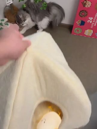 猫窝狗窝蒙古包南瓜窝冬天舒适保暖封闭式小窝小宠可机洗狗窝猫窝#猫窝 #狗窝 #小窝 #狗窝猫窝 #宠物窝