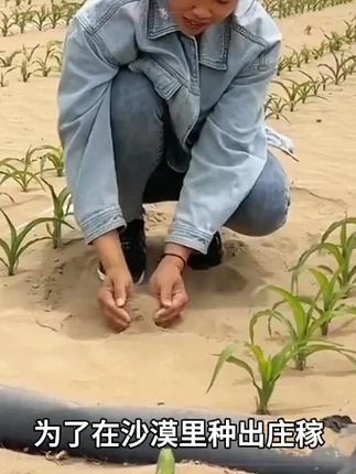 原来沙漠是这样变成绿洲的!看完涨知识了#苹果汁 #苹果 #科普