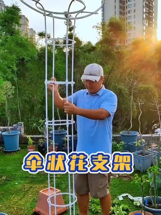 伞形花架月季爬藤架园艺支架阳台庭院户外玫瑰攀爬支撑花架支撑杆#花架 #伞形花架 #爬藤架 #园艺支架 #花架推荐