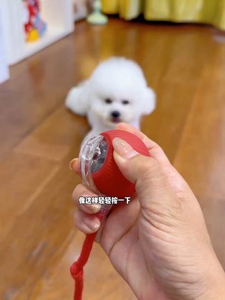 能让我家这大懒猫玩成这样的玩具真不多,这个自动逗猫球算一个~#萌宠好物 #宠物玩具 #养猫新手 #猫咪玩具 #狗狗玩具