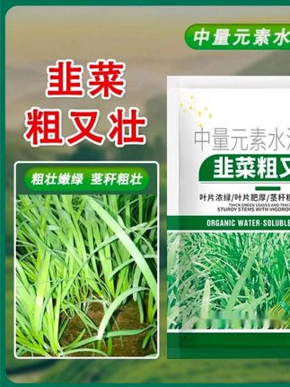 韭菜专用叶面肥#韭菜种植 #韭菜 #种植技巧