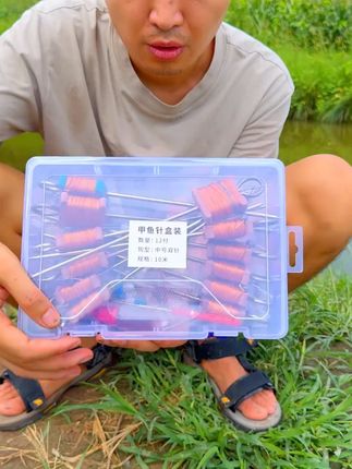 这个就是钓甲鱼的地插套装 #钓甲 鱼 #甲鱼 #真实户外