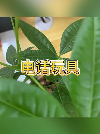 儿童电话 #益智玩具 #幼儿早教 #仿真电话 #音乐玩具 #宝宝玩具