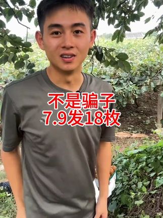 #好物推荐🔥 #猕猴桃 #水果 #新鲜多汁