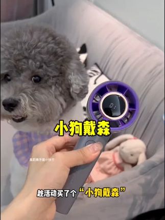 宠物一体吹嘴毛手持数显新款风扇【无热风无热风】宠物必备物品 #新款风扇 #新款风扇推荐 #宠物吹风机
