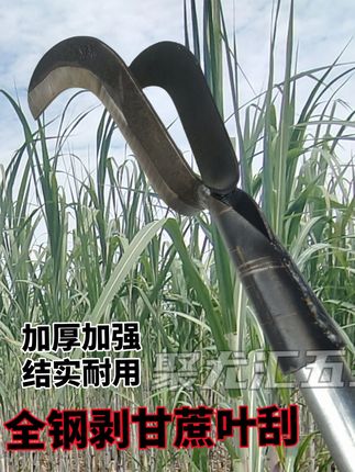 新款全钢甘蔗叶剥刀 高性能实用工具 质量杠杠的好 超级好用 新款全钢甘蔗叶剥刀弹簧钢加厚可磨锋利高效省力撕甘蔗叶专用农具#甘蔗种植 #农具 #甘蔗叶剥刀 #高效省力 #助农产品