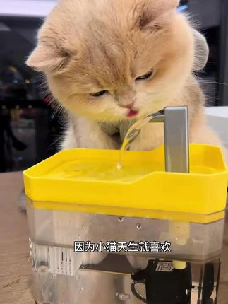 一喝就是几分钟, 还能增加我的饮水量, 次加满1.5升的水, 连着七八天, 妈妈都不用担心我的饮水问题了。 #宠物自动饮水机 #自动饮水机 #好物推荐 #回购率超高 #好物种草
