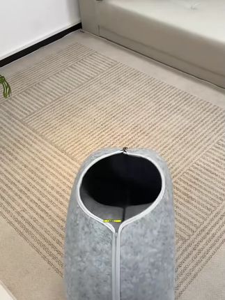 终于买到了一个没有被闲置的猫窝,甜甜圈造型空间很大,几只猫抢着在里面躲猫猫27#隧道猫窝 #记录猫咪日常 #猫窝 #猫咪 #傻猫的日常