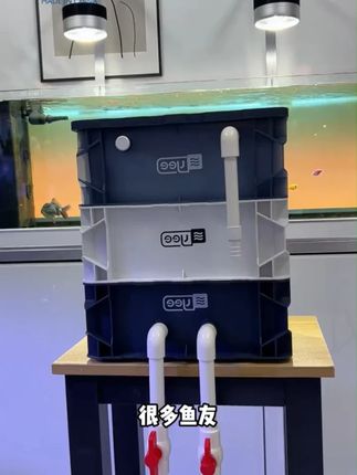 【新奇宠物】yee鱼缸周转箱过滤器静音上置滴流盒水循环鱼池过滤箱#新奇宠物 #鱼缸 #过滤