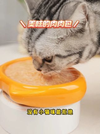 没有小猫咪边补水边吃肉的浓汤鸡丝肉肉包!#麦富迪 #萌宠好物 #宠物用品