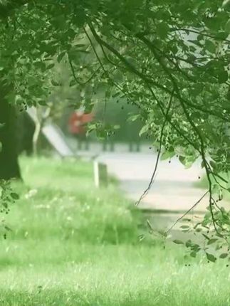 不二宝贝海苔碎拌饭儿童肉松碎紫菜送宝宝辅食零食谱