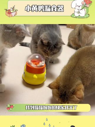 找到猫猫狗狗的快乐开关了#漏食玩具 #猫咪玩具 #萌宠好物 #小黄鸭 #宠物玩具