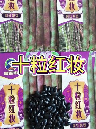 十粒红妆(十粒红运)圆扁高产肉厚无筋绿高产芸豆种子#优质农产品 #纯天然无添加 #支持全国发货