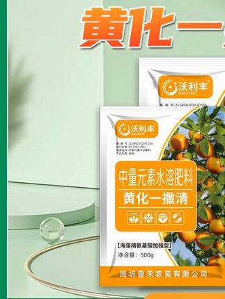 果树黄化就是根系和土壤问题 #果树黄化#柑橘黄化#黄化一撒清 #果树黄化就是根系和土壤问# 果树黄化 #柑橘黄化