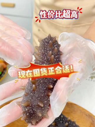 源头工厂一手发,跳过所有中间商!海参价格低低低!一斤也是批发 #海参 #源头好货 #滋补养生食材