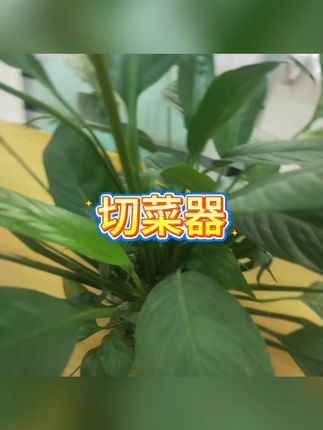 家用不伤手切菜器 #豆角切丝 #辣椒削皮 #厨房神器