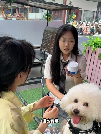 新手养狗一定要注意的一些小问题,提前养护真的很重要!! #狗狗#养狗的乐趣#养狗小知识
