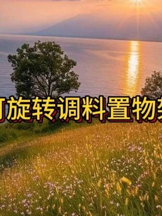 #厨房调料收纳 #收纳整理 #实用省空间 #厨房好物
