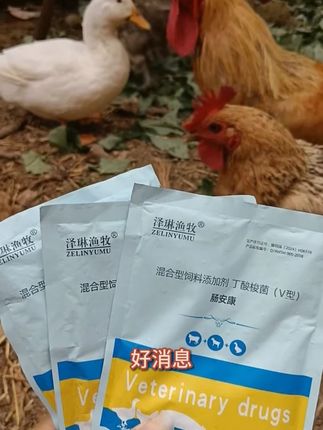 肠安康